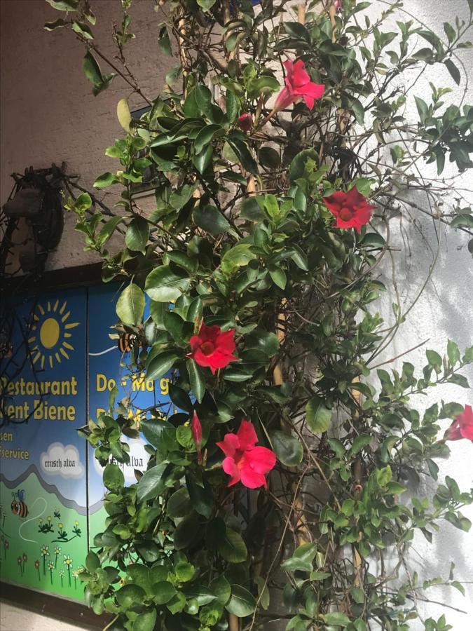 Appartamento Alte Post Mit Geschichte Und Restaurant Tavanasa